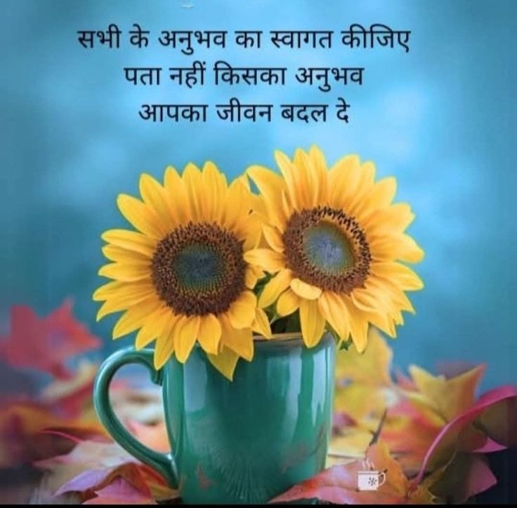 deeksha tweet media