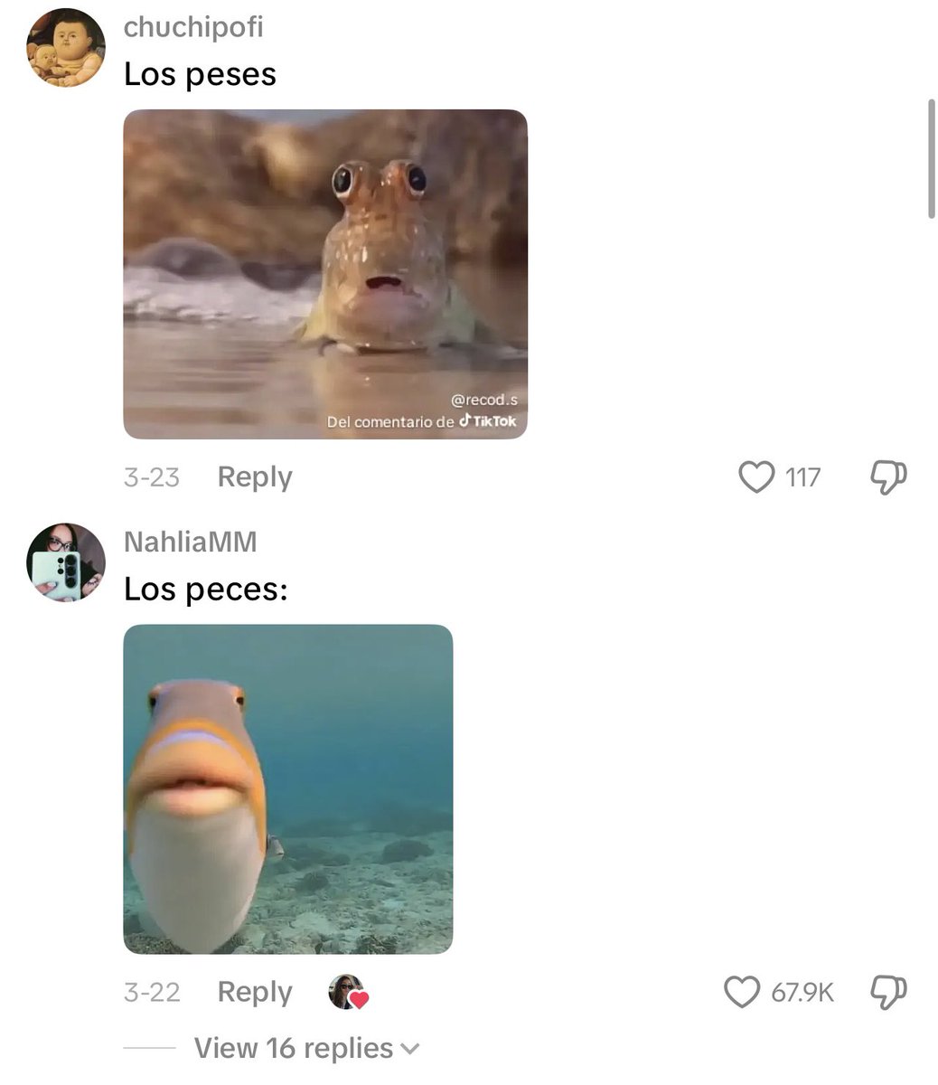 Ojito 👁 tweet media
