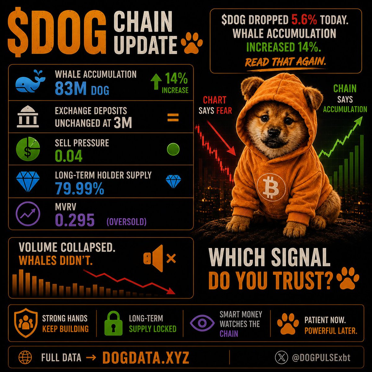 DOGPULSE | $DOG On-Chain Intelligence tweet media