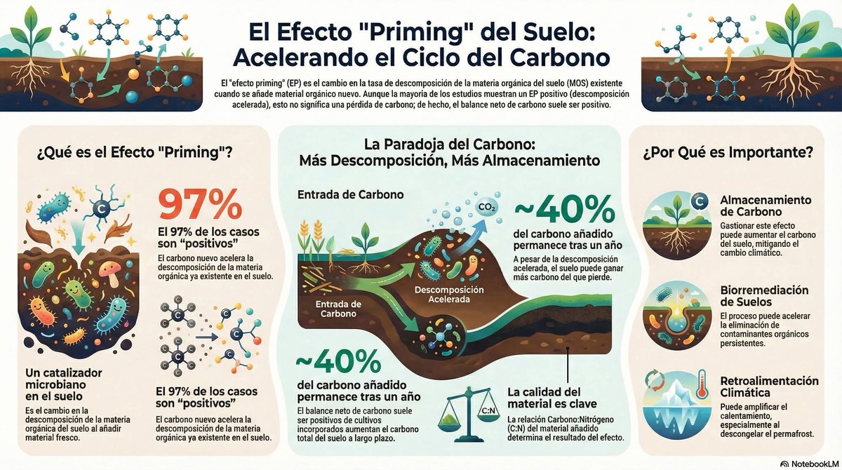 Sociedad Mexicana de la Ciencia del Suelo tweet media