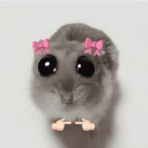 ‎˗ˏˋ 🐕‍🦺bibble ᐧ༚̮ᐧ ´ˎ˗ tweet media