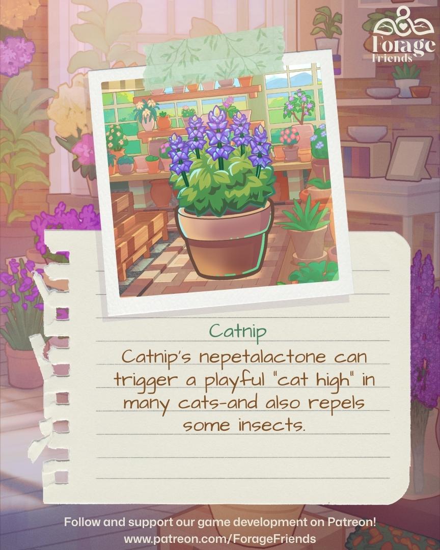 Forage Friends Game 🌻✨ tweet media