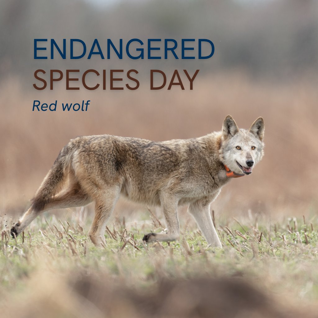 National Wildlife Federation Action Fund tweet media