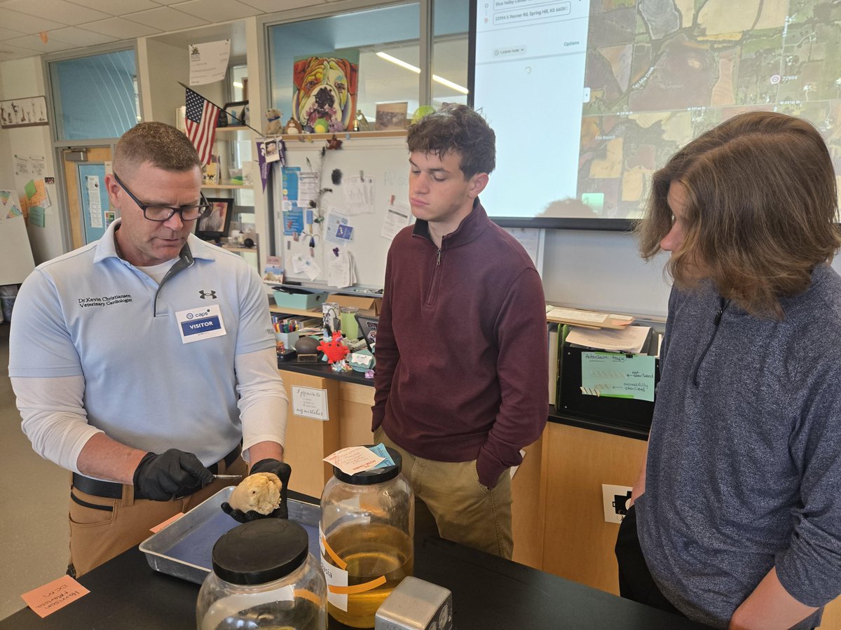 @BVCAPS tweet media