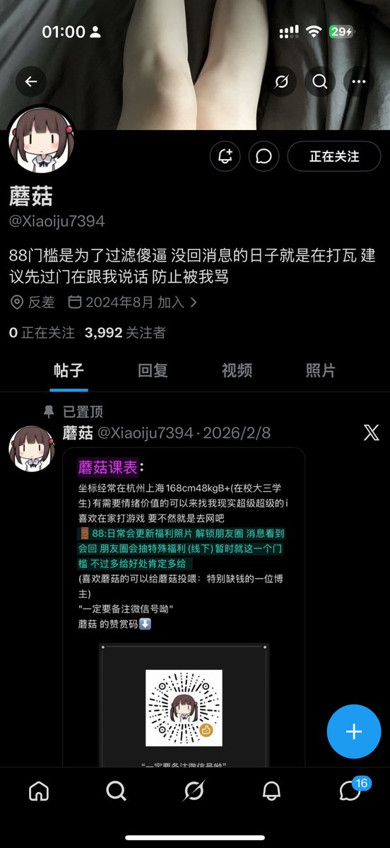 蘑菇 tweet media