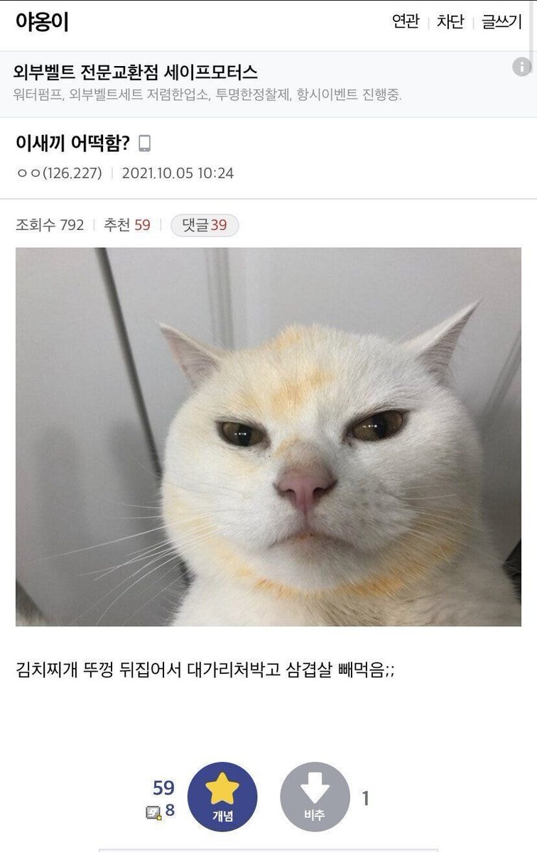 베토벤 tweet media