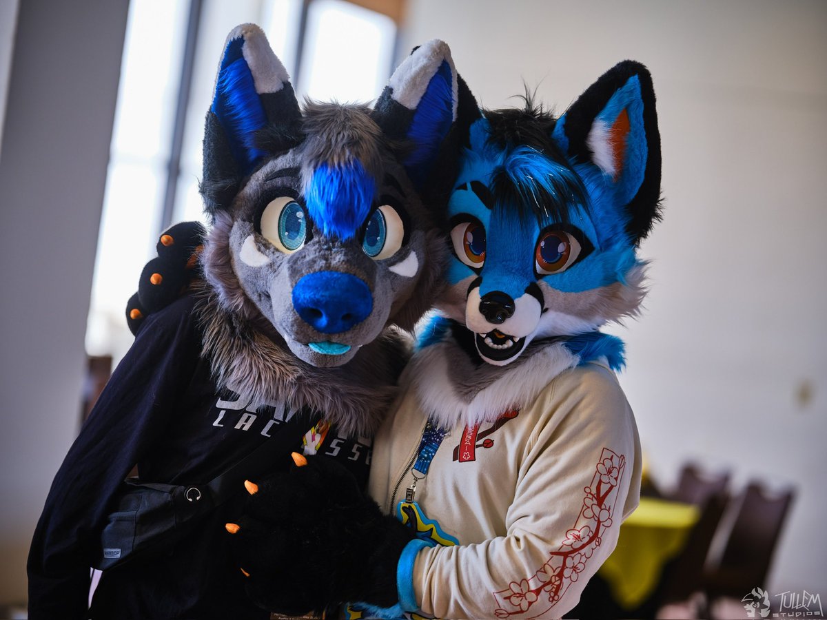 rezedfox's tweet photo. FWA was SO SO much fun!!! Absolutely going again. Happy #fursuitfriday !

🪡 - @Glitzy_Fox 
📸 - @tullembrat https://t.co/u0FPuakuWD