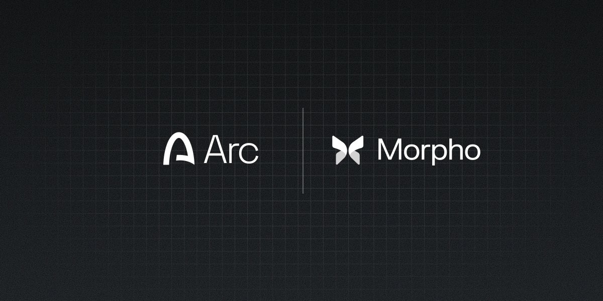 Morpho 🦋 tweet media