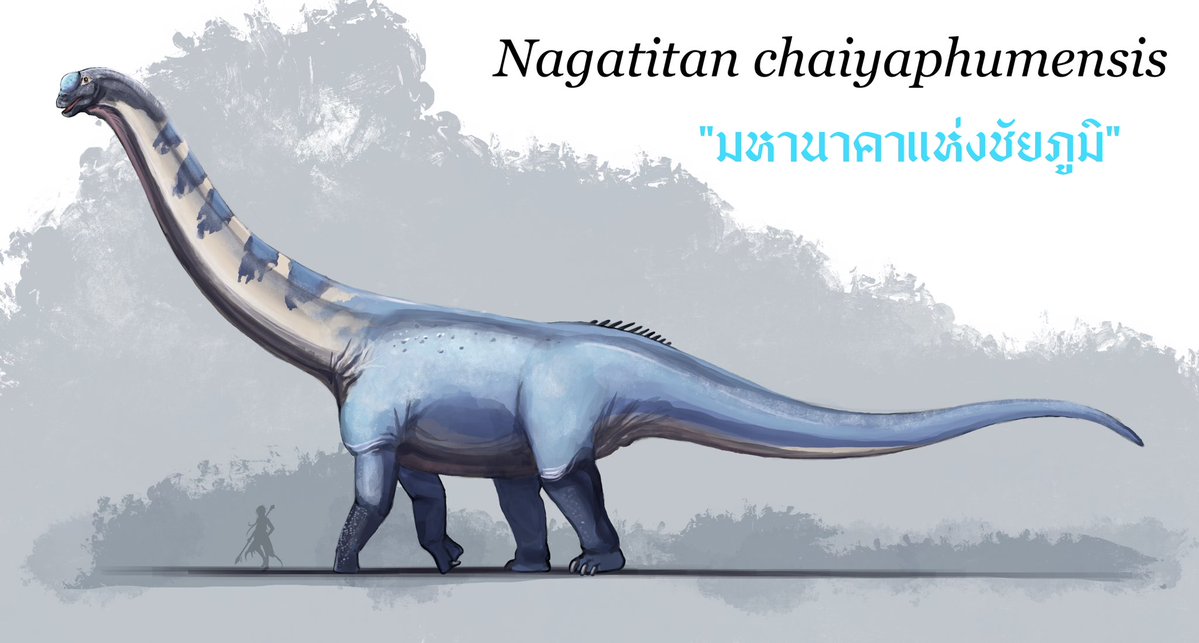 Draconos_Takeji tweet media