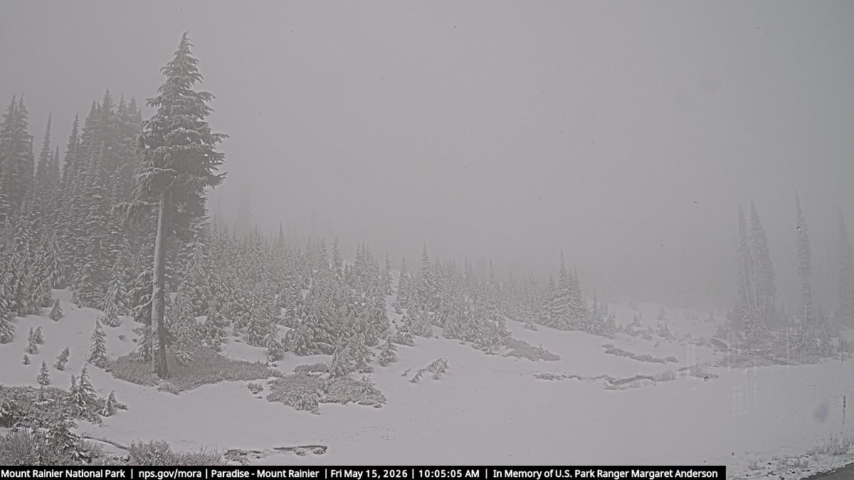 Randy Small - Whatcom County Weather tweet media