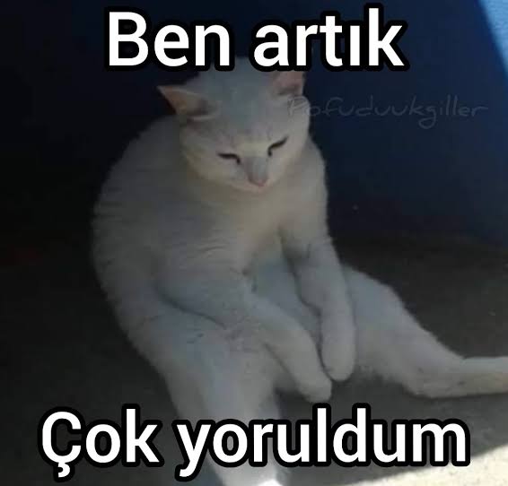 Sedanur Karsli tweet media