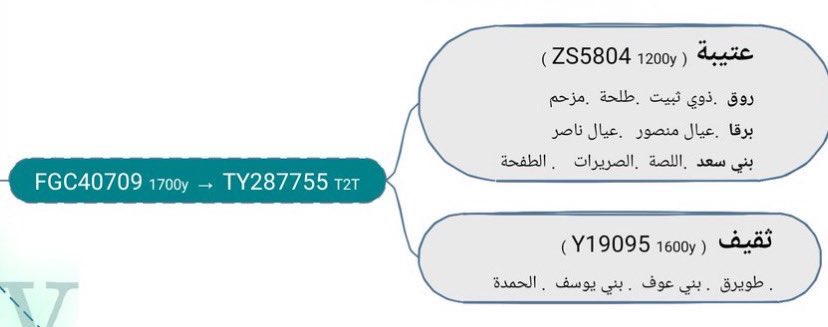 ناهض tweet media