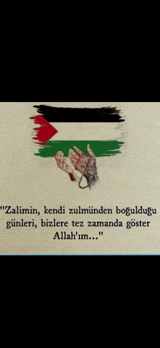 Ayseli Dogan tweet media