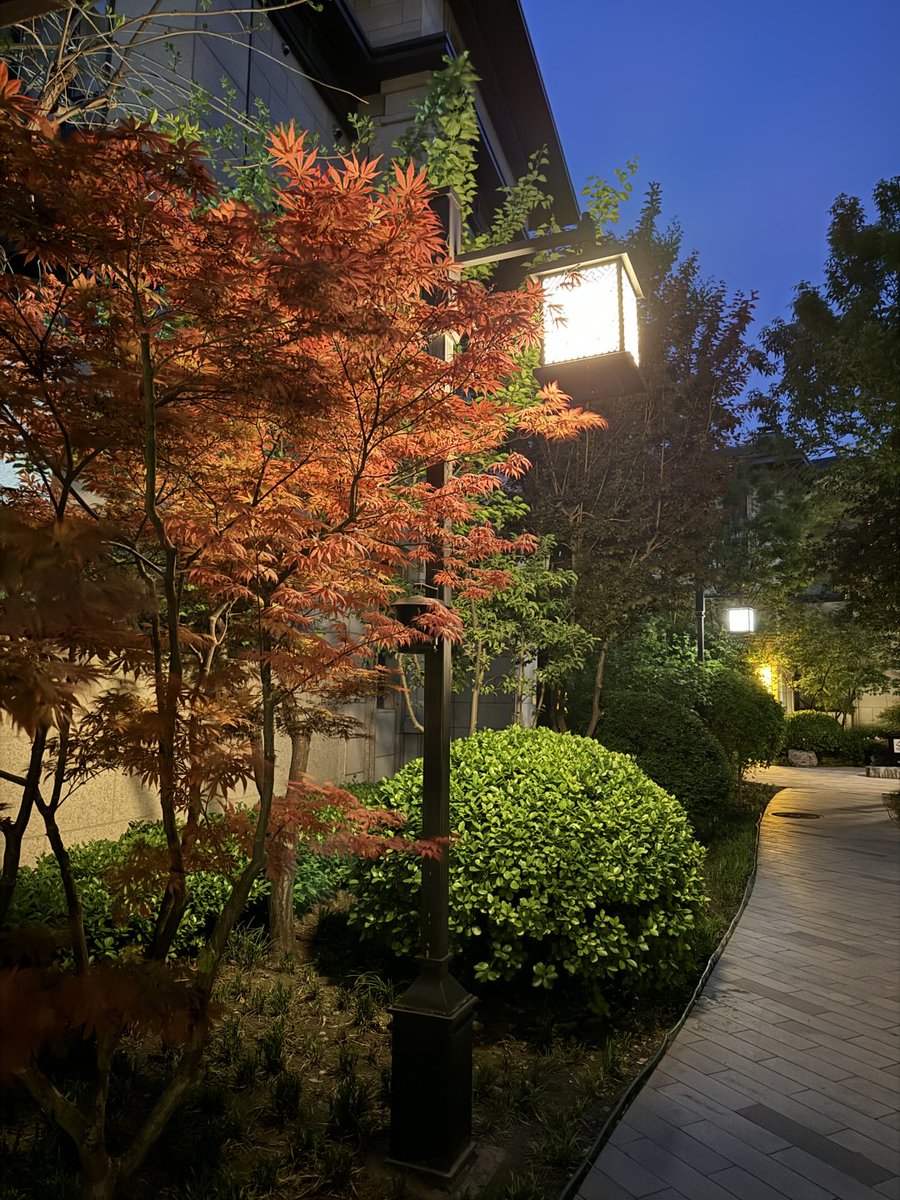 MorganColek's tweet photo. 夜になると近所は美しくて静かです！🤗 #春の夜| https://t.co/p3UoMxcnkd