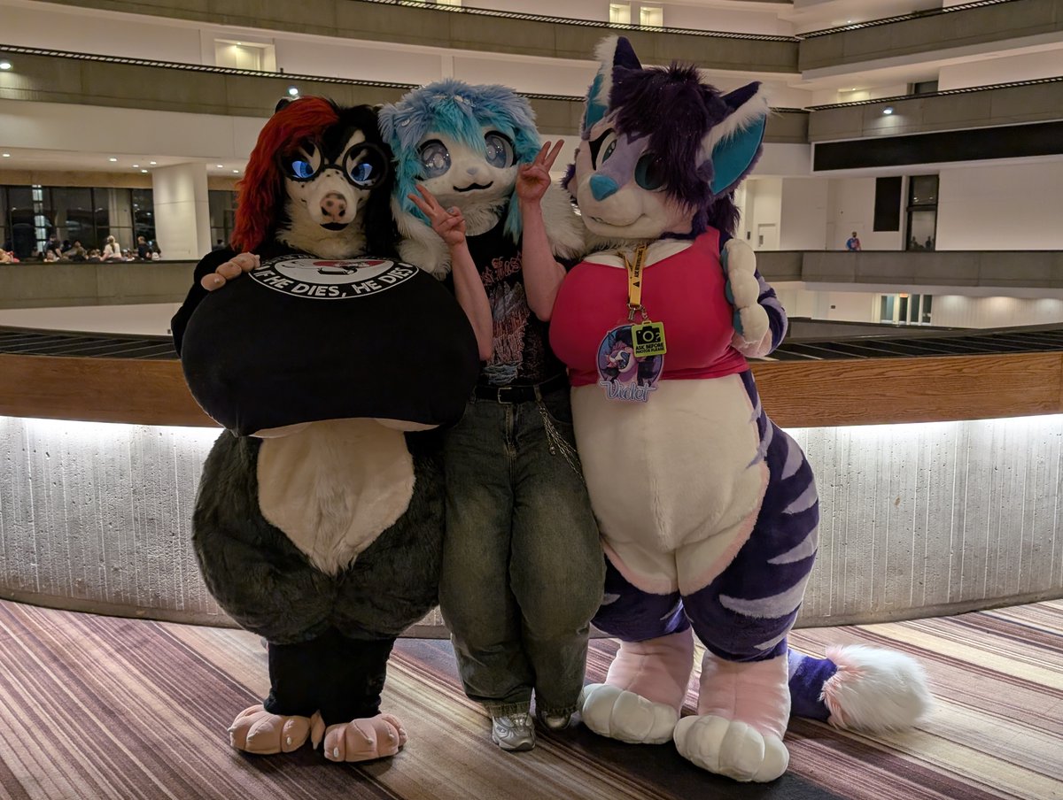 🏳️‍⚧️Maeve (the boss poss ) 🔜 Furrydephia tweet media
