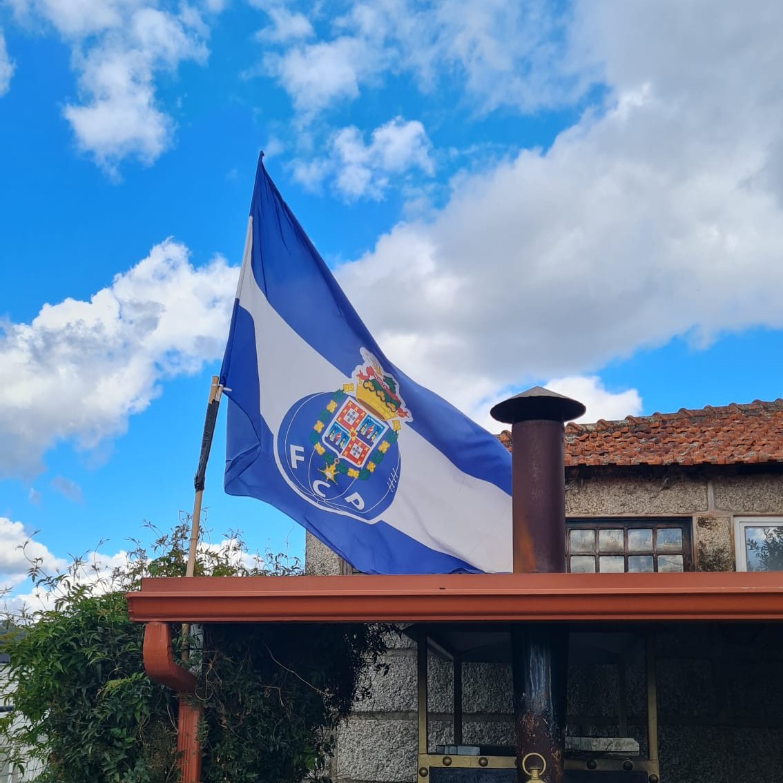 FC Porto tweet media