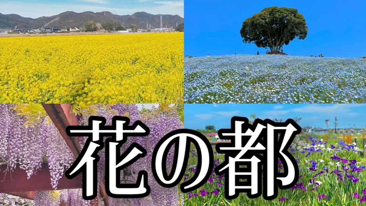竹内 ゆうと （千葉県大好きラジオDJ） tweet media