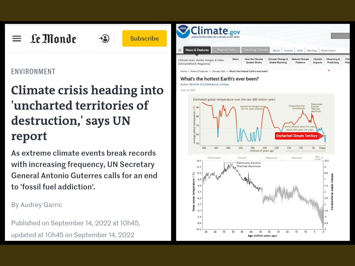 Lex tweet media