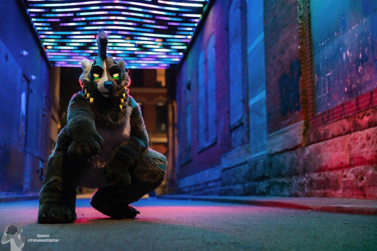 💀 Level 🔥🔜 Anthrocon tweet media