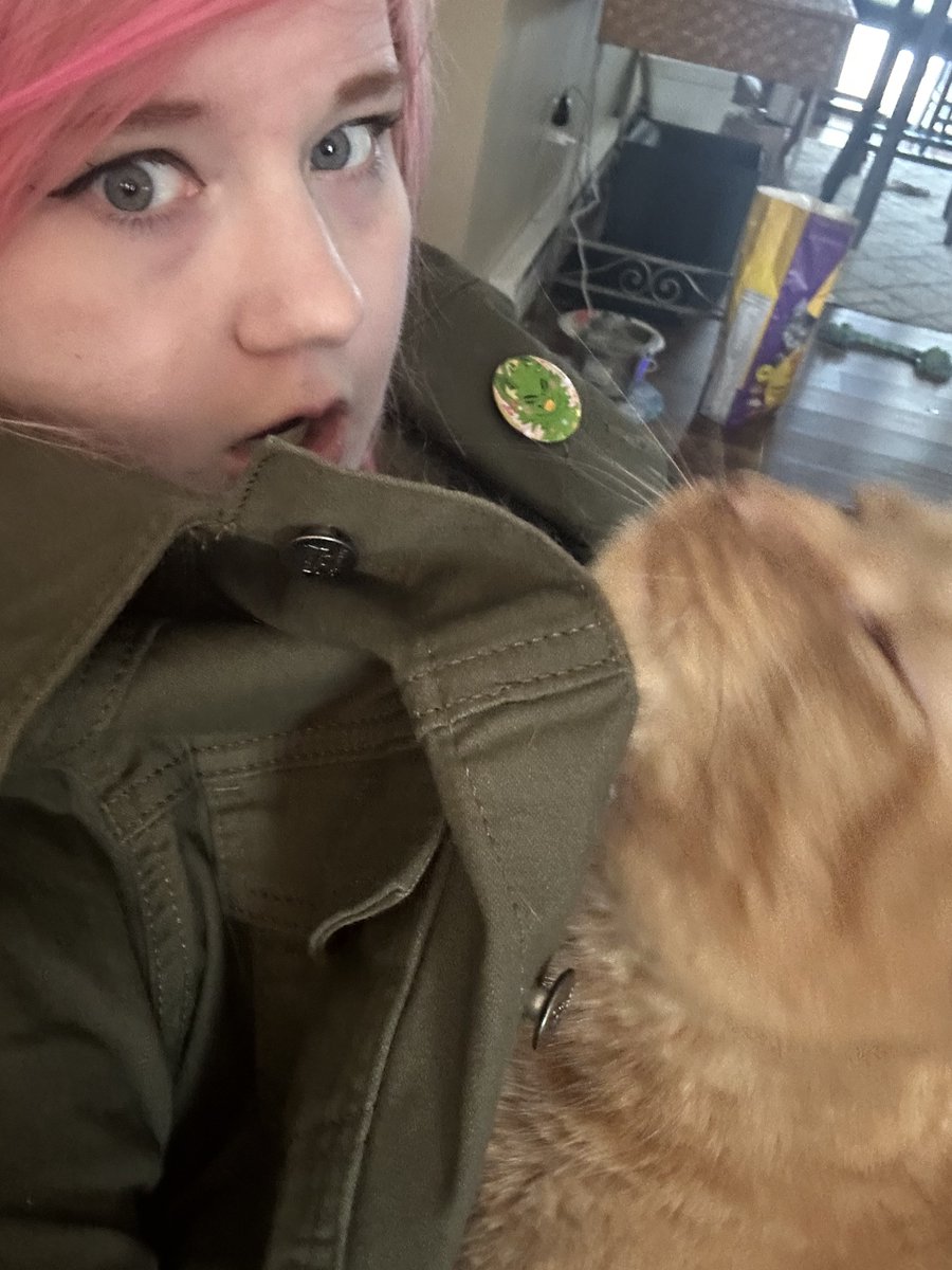 kitty tweet media