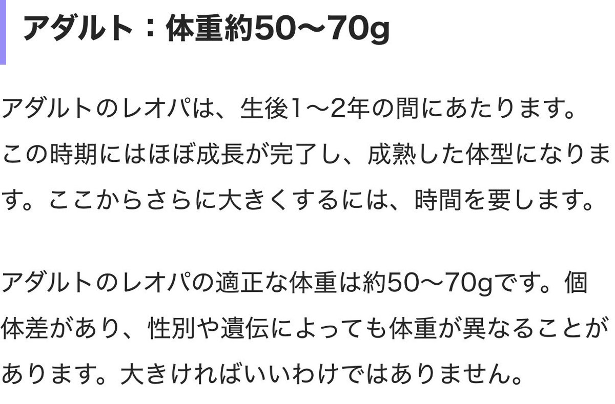 わるいにく tweet media