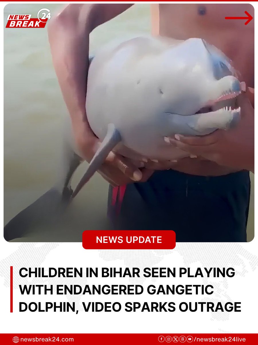 NewsBreak24 tweet media