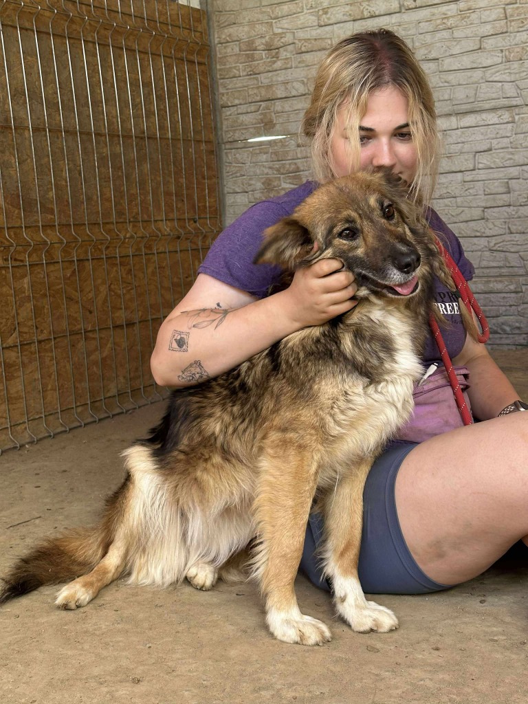 Pawprints to Freedom Rescue🐾 tweet media