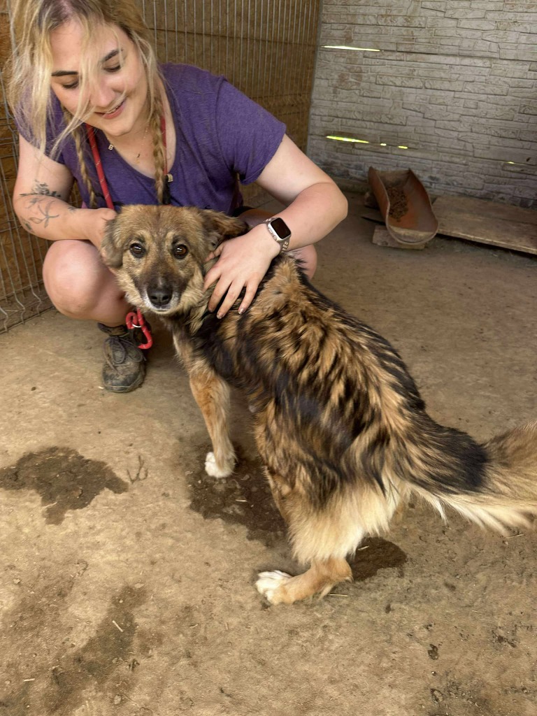 Pawprints to Freedom Rescue🐾 tweet media
