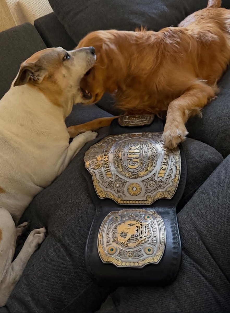 He is GHC HEAVYWEIGHT CHAMPION — PARODY tweet media