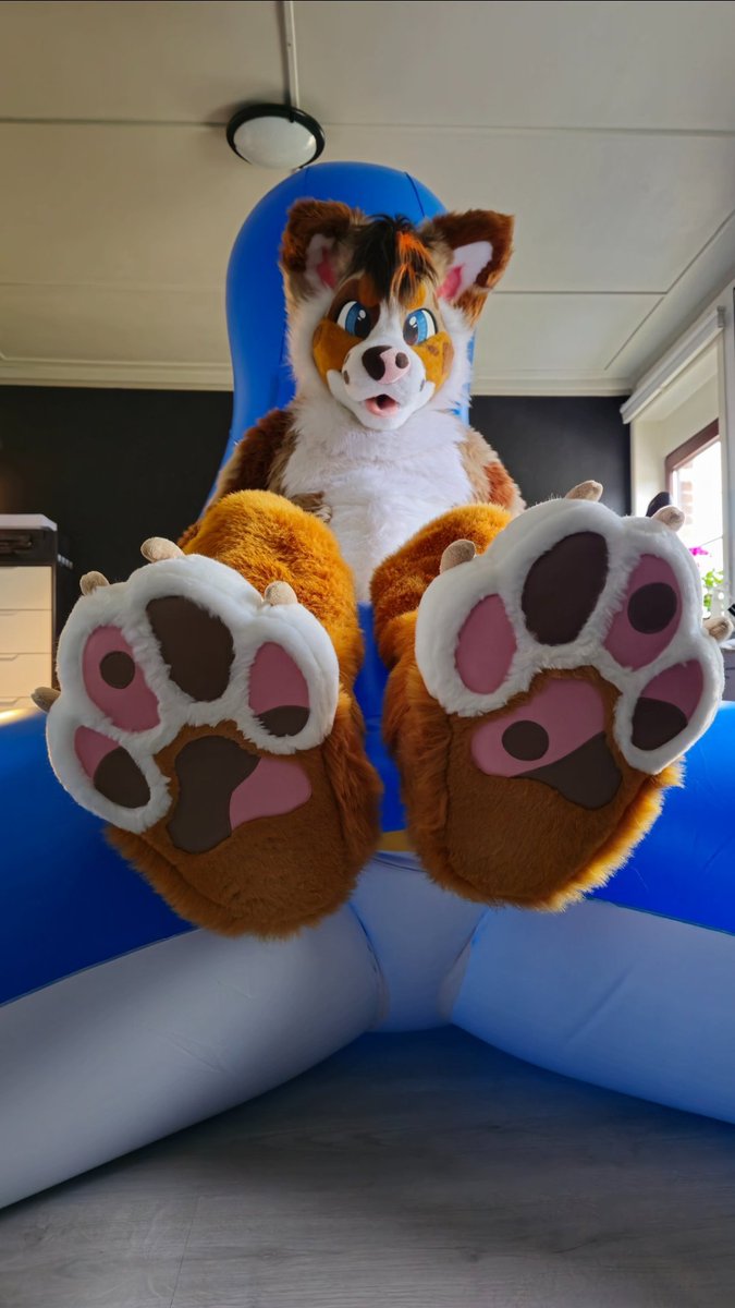 Lexie Doggo tweet media