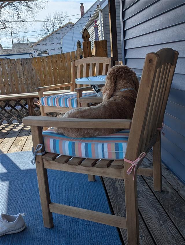CustomCushions's tweet photo. #BuffaloNewYork customer spotlight! 🐾 These #customcushions were made in boxed construction with #Sunbrella Surround Sunrise 40584-0002 fabric.

“They fit perfectly and look amazing!”

Design yours today: https://t.co/r4h4XjU3NQ https://t.co/IOkBqOBlzJ