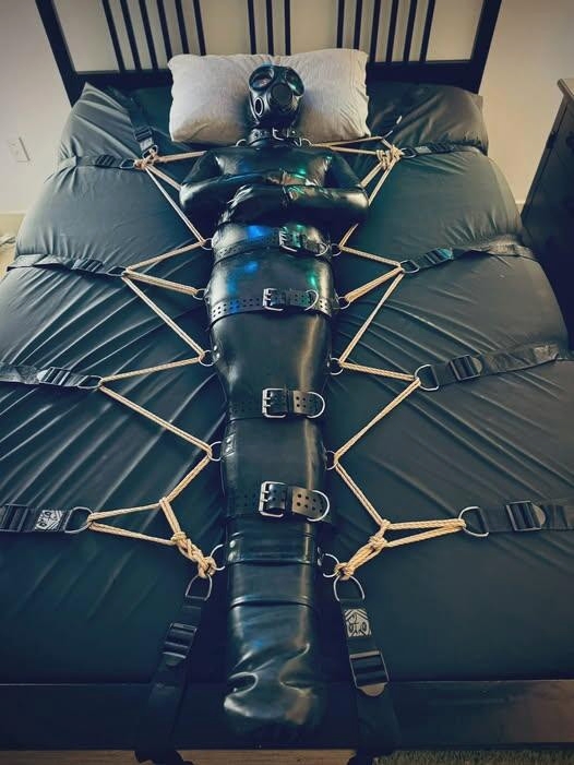 BDSM Lovers tweet media
