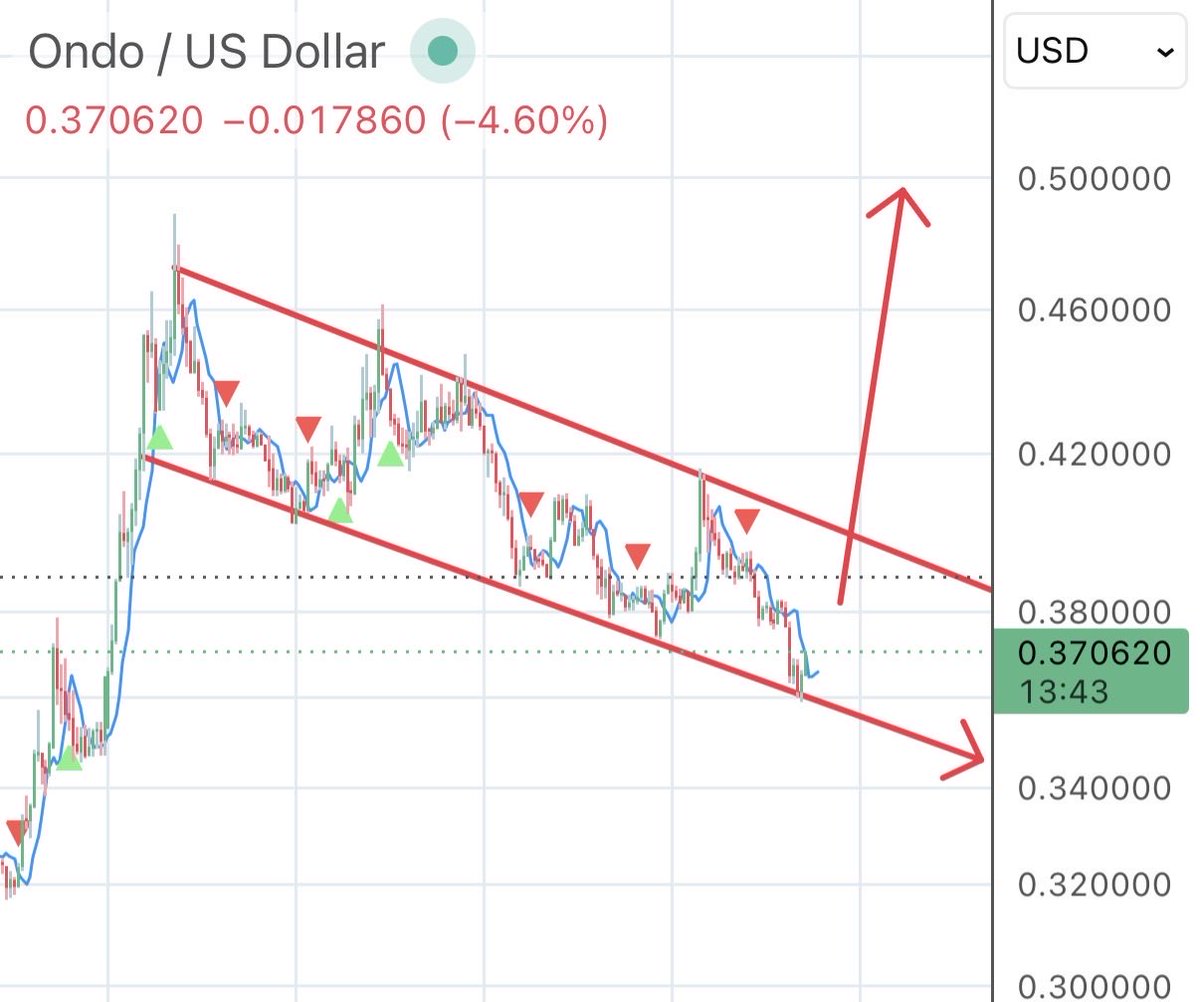 wildly bullish tweet media