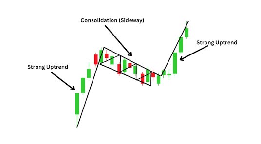 wildly bullish tweet media