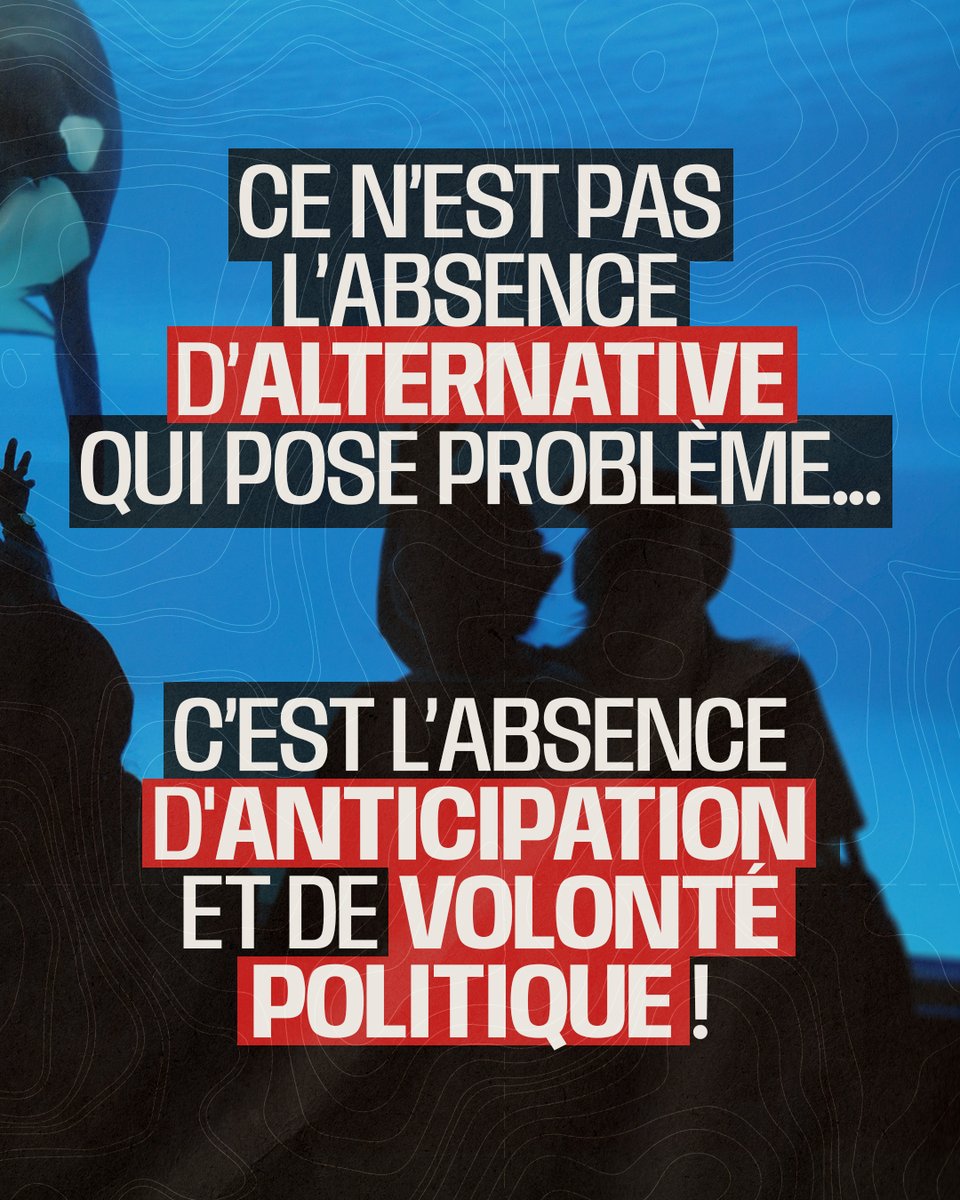 Sea Shepherd France tweet media