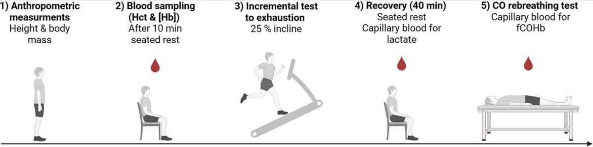 Experimental Physiology tweet media