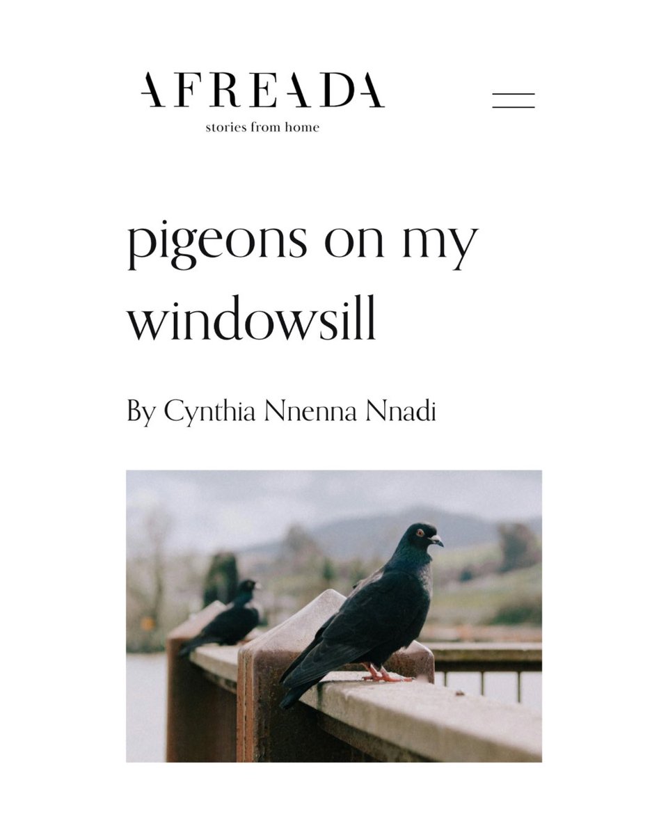 Nnadi tweet media