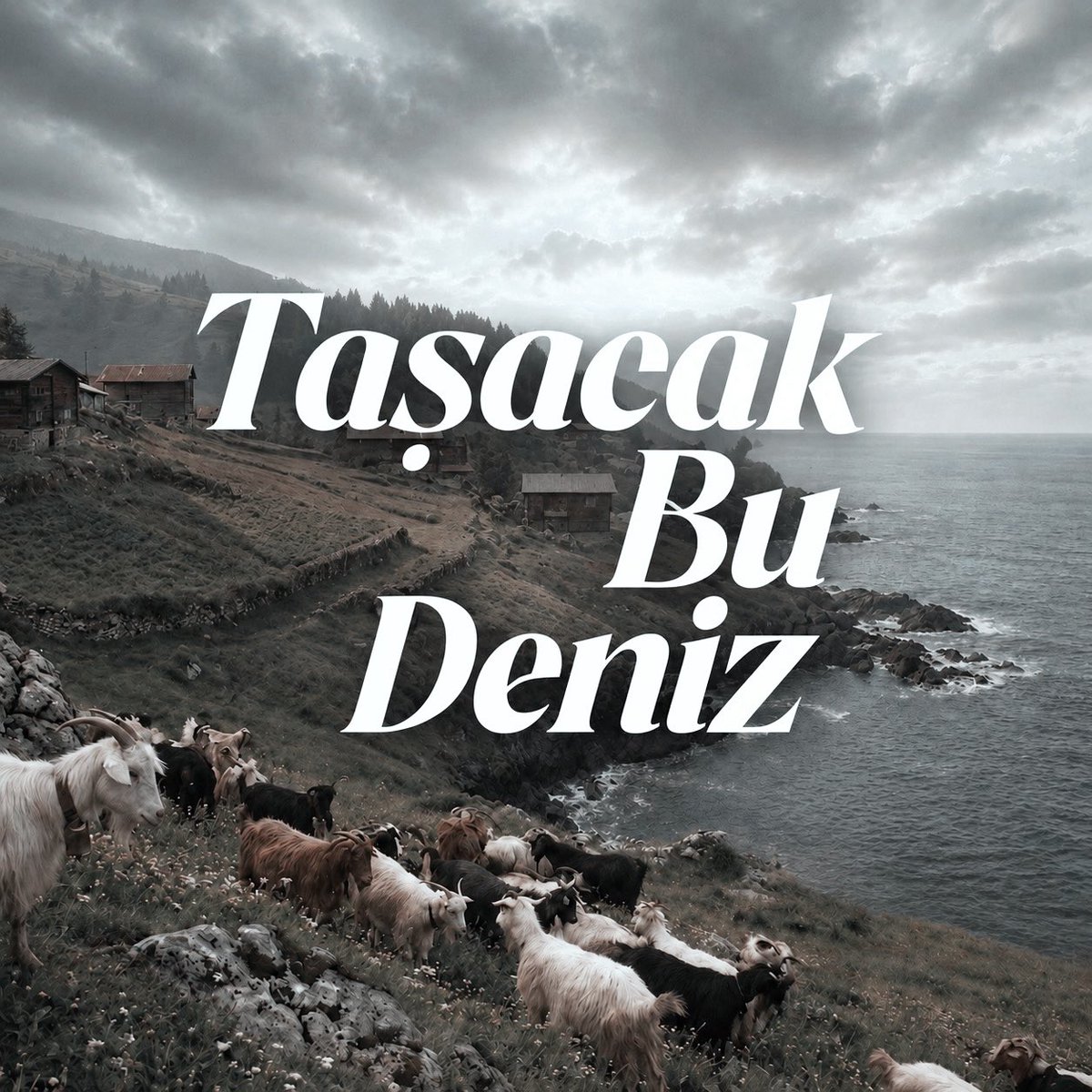 KOÇARİ tweet media