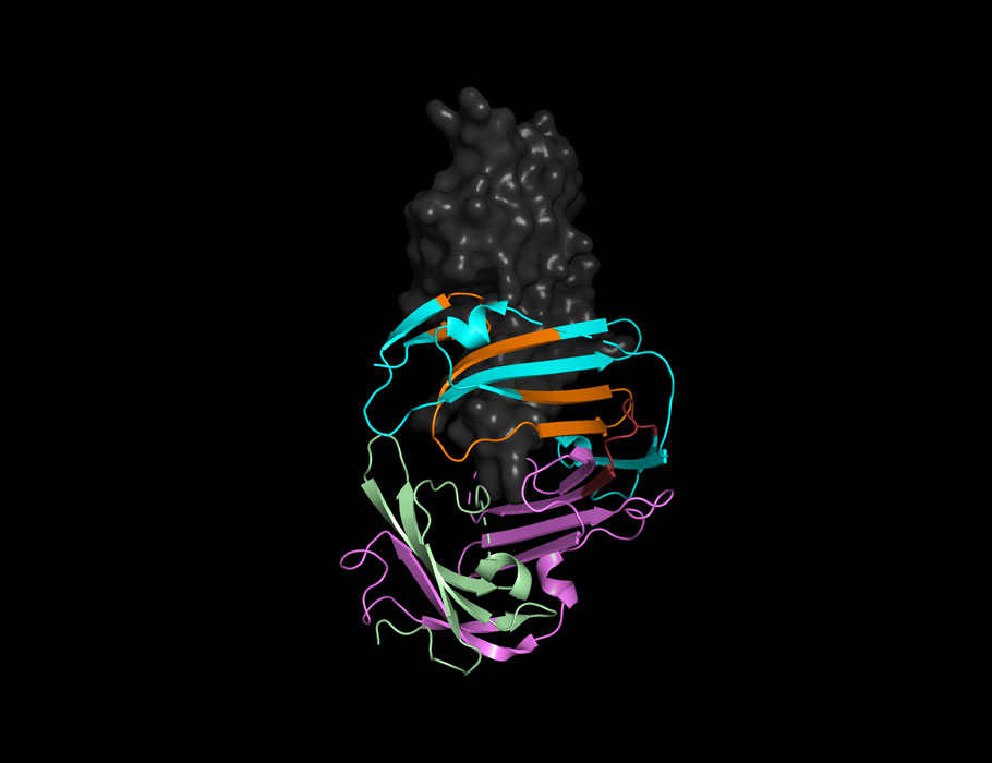 Science Translational Medicine tweet media