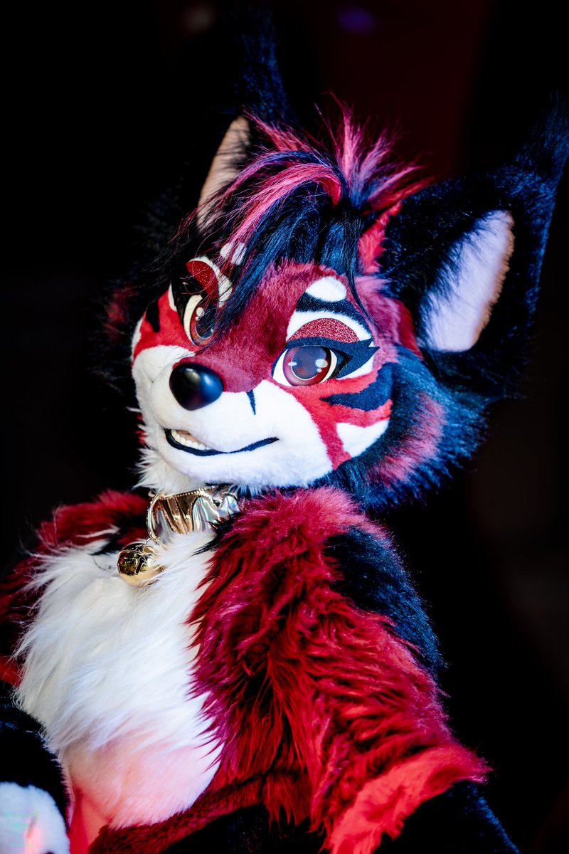 ErosFennec's tweet photo. Stay in the shadows https://t.co/cGMpgTat75