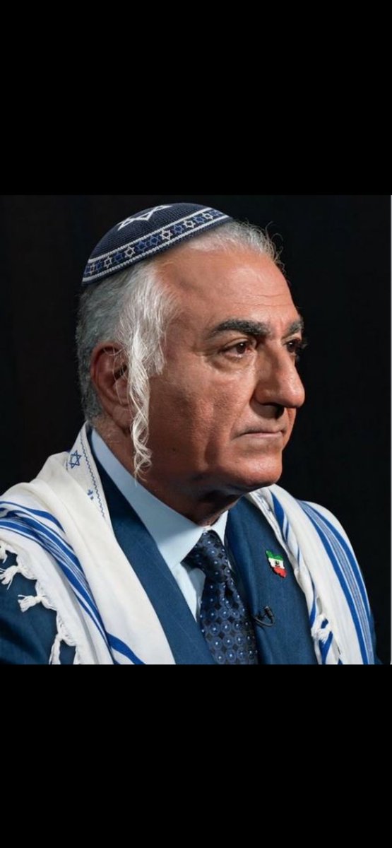 hamed hosseini tweet media