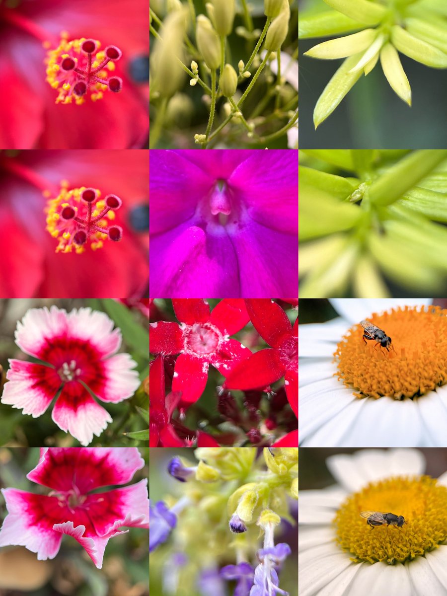 DarrenChen528's tweet photo. Calling everyone on Earth
Show me your spring — your colors, your light, your corner of the world.
Drop yours below.

Aliens scrolling today… you’re welcome to join too 🌸👽

#springaroundtheworld #globalphotography #springvibes #花の写真 #春の色 #世界の春 #地球の季節 https://t.co/tZfVdT9qSt
