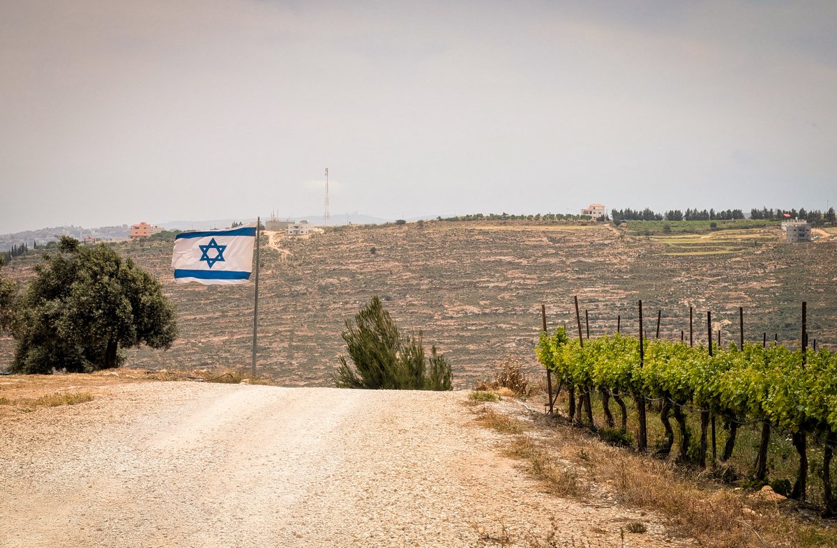 The Israel Guys tweet media