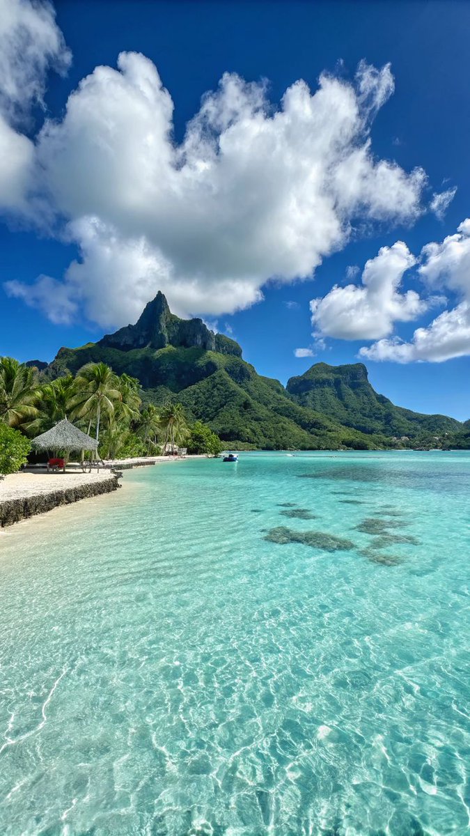 Travel Guide tweet media