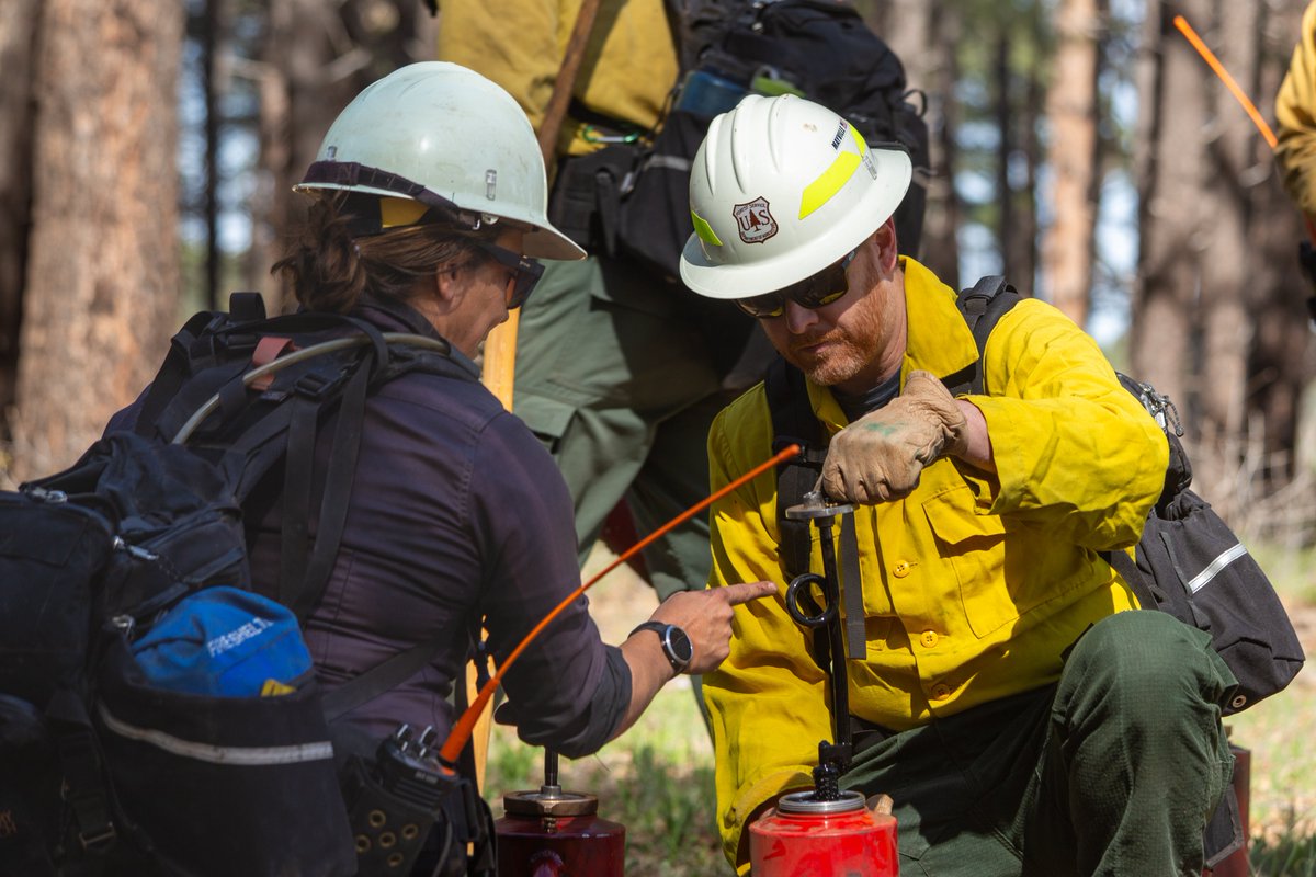 Coconino NF tweet media