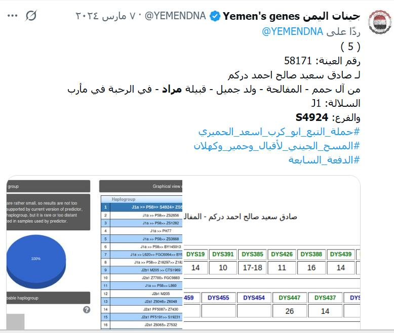 AlazaniSalah's tweet photo. صرحاء قبيلة مراد
بني سيف
وآل جميل
وآل غنيم
وآل جناح
جميعهم على التحور S4924
تحديدا التحور FT342477
والتحور S4924 جاءت عليه اغلب قبائل خولان
بجانب التحور S4924  تحور L860 عليه عوبثان المرادية
اين اصحاب نظرية ان BY8 مذحجي واصرح قبائل مراد جاءت خارج هذا التحور
قلناها مرارا وتكرارا مراد ليست من مذحج  مراد كيان سبئي مستقل وهي  حليف لمذحج على مر العصور
واصرح قبائل مذحج هي قبائل قبائل عله وسعد  التي جاءت اسفل  FGC4415