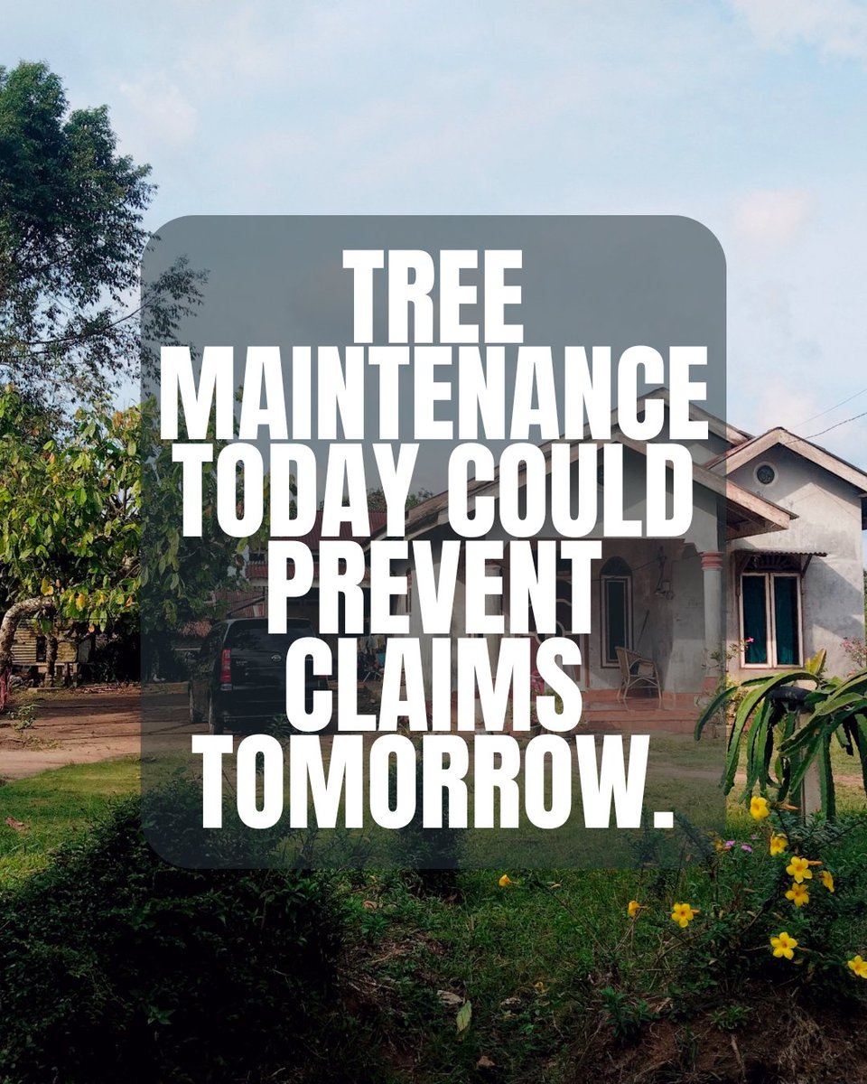 MantoothInsure's tweet photo. Homeowners Maintenance Tip: Trim any branches that hang directly over your roof or your neighbor’s roof. "Dead wood" is legally considered a maintenance issue; if it falls because you neglected it. https://t.co/nKUPUu7oW4
