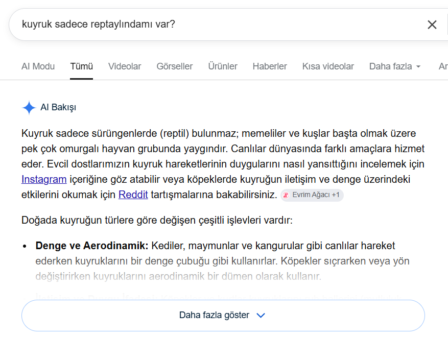 Tom Bombadil Dede Efendi tweet media