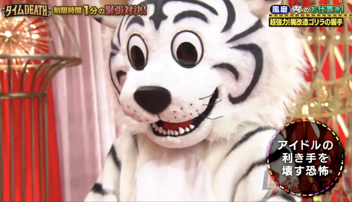 風磨くんの左手が強すぎてびびるシロかわいいWWWWWW周杜くんの「シロも