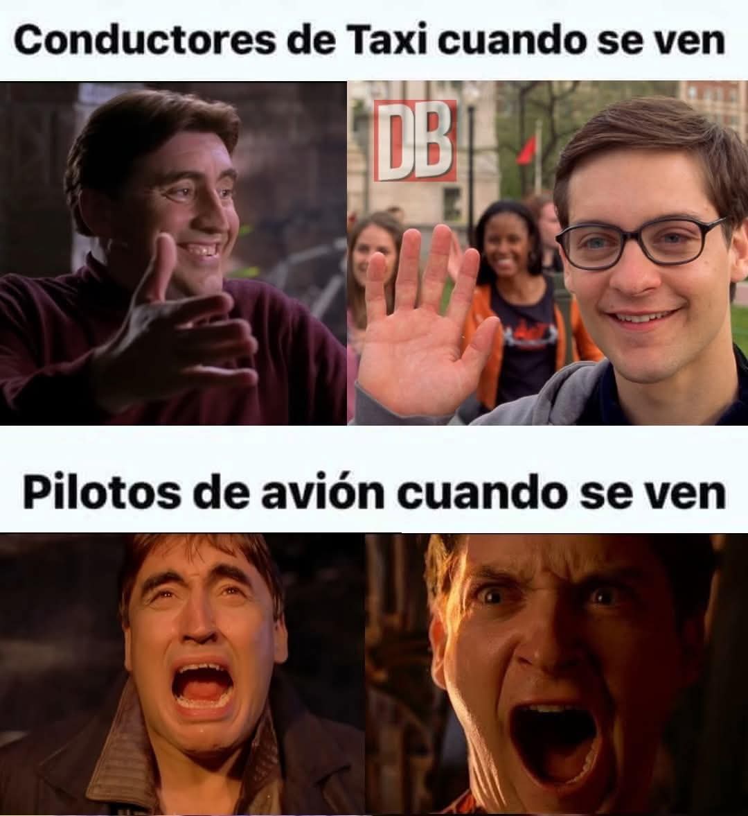 Alejo tweet media